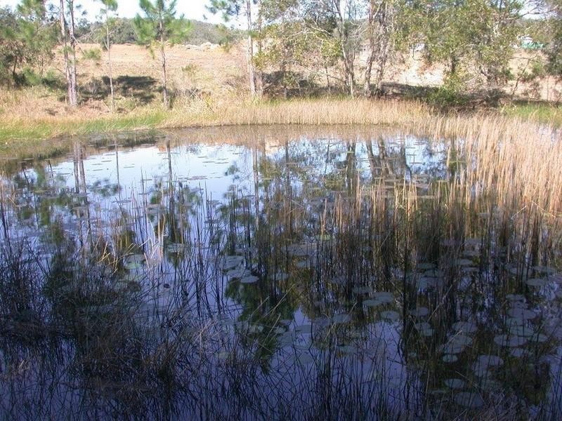 2 Haflinger Road, North Arm QLD 4561