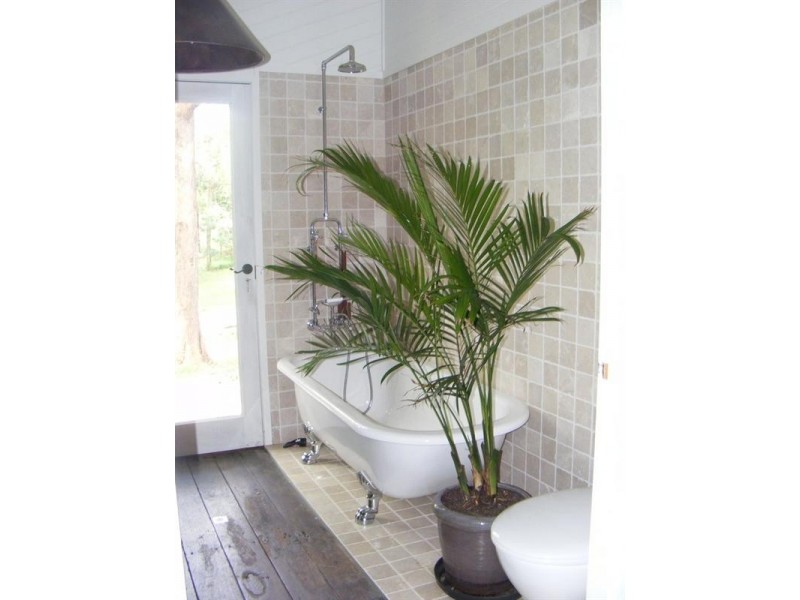 Cooroy Mountain QLD 4563