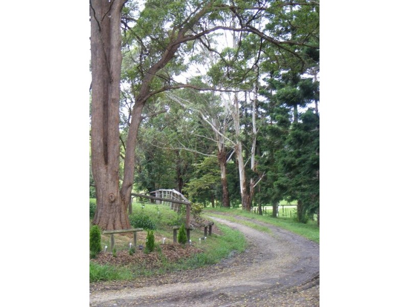 Cooroy Mountain QLD 4563