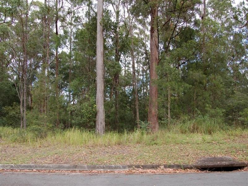 99 Tallgum Avenue, Doonan QLD 4562