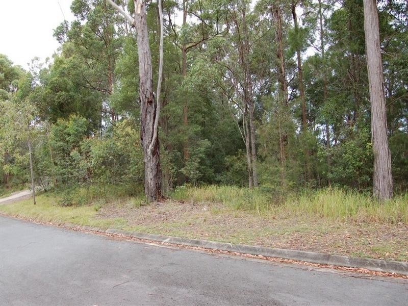 99 Tallgum Avenue, Doonan QLD 4562