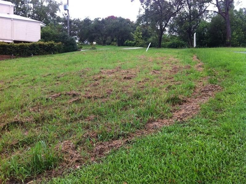 7 Crescent Road, Eumundi QLD 4562
