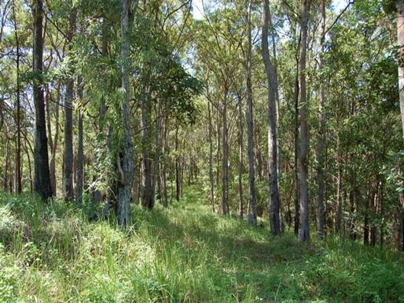 242 Verrierdale Road, Verrierdale QLD 4562