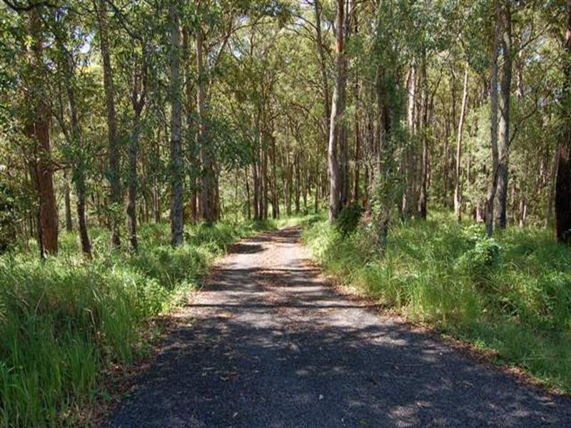 242 Verrierdale Road, Verrierdale QLD 4562