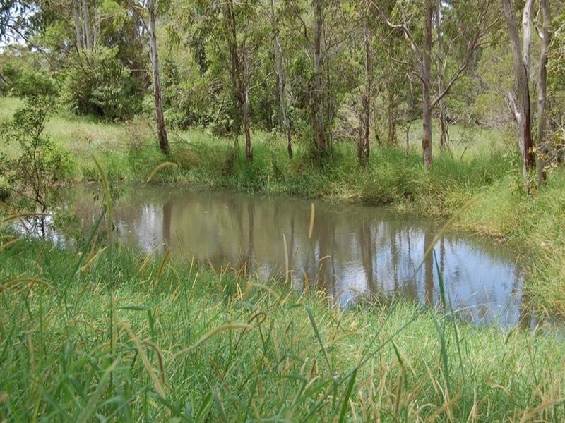 Doonan QLD 4562