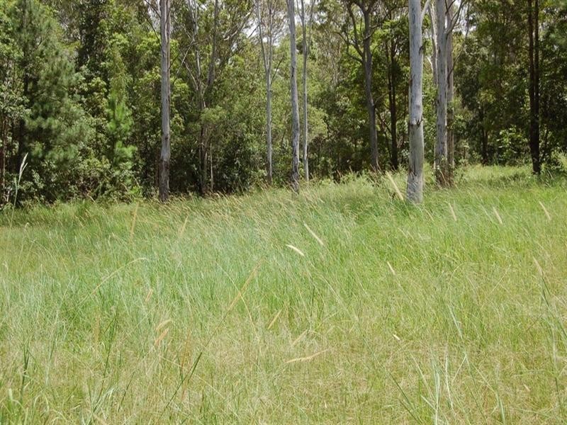 Doonan QLD 4562