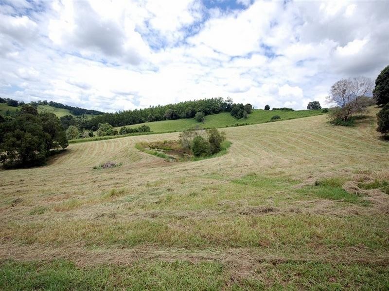 47 Pines Road, Cooroy QLD 4563