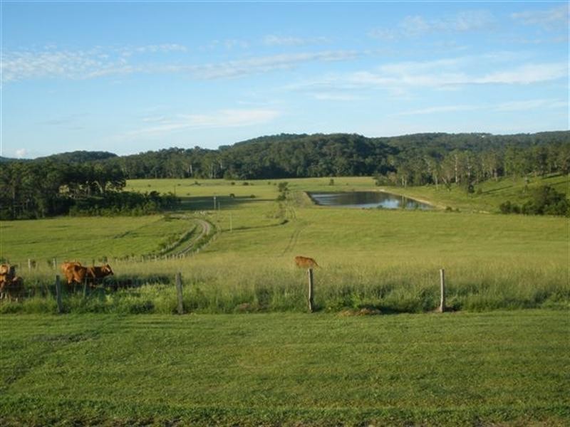 54 Fig Tree Lane, Yandina QLD 4561