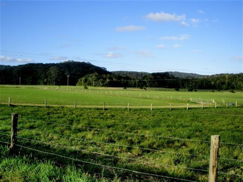 54 Fig Tree Lane, Yandina QLD 4561
