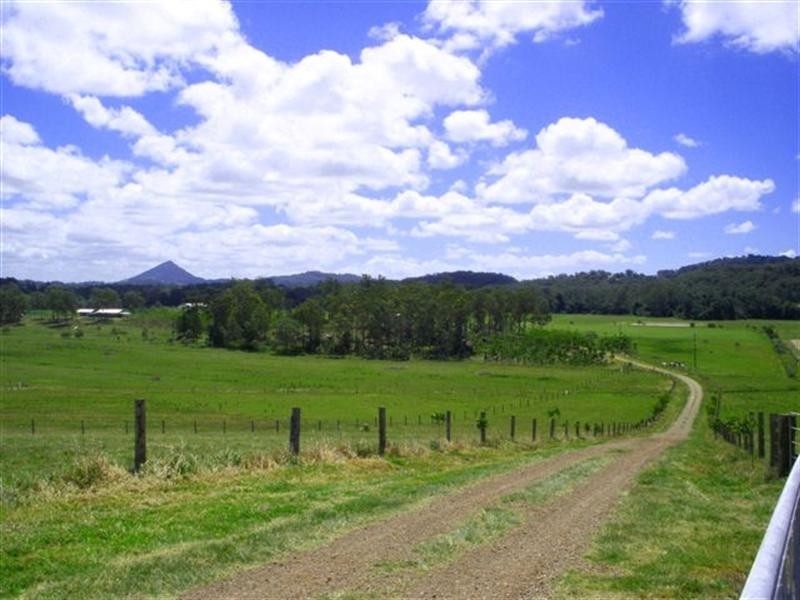 54 Fig Tree Lane, Yandina QLD 4561