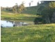 54 Fig Tree Lane, Yandina QLD 4561