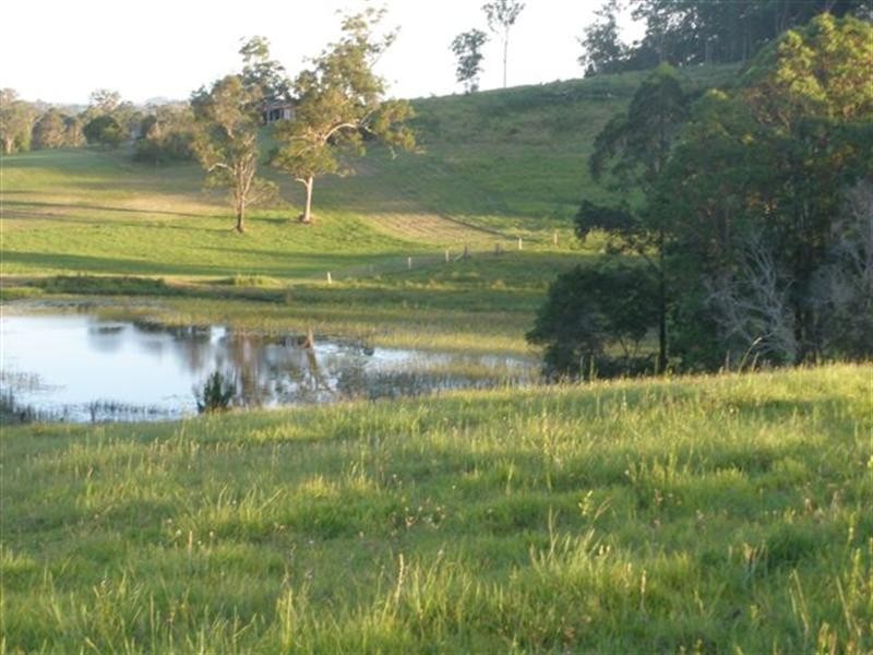 54 Fig Tree Lane, Yandina QLD 4561