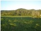 54 Fig Tree Lane, Yandina QLD 4561