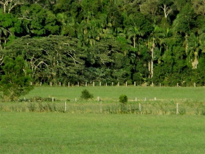 54 Fig Tree Lane, Yandina QLD 4561