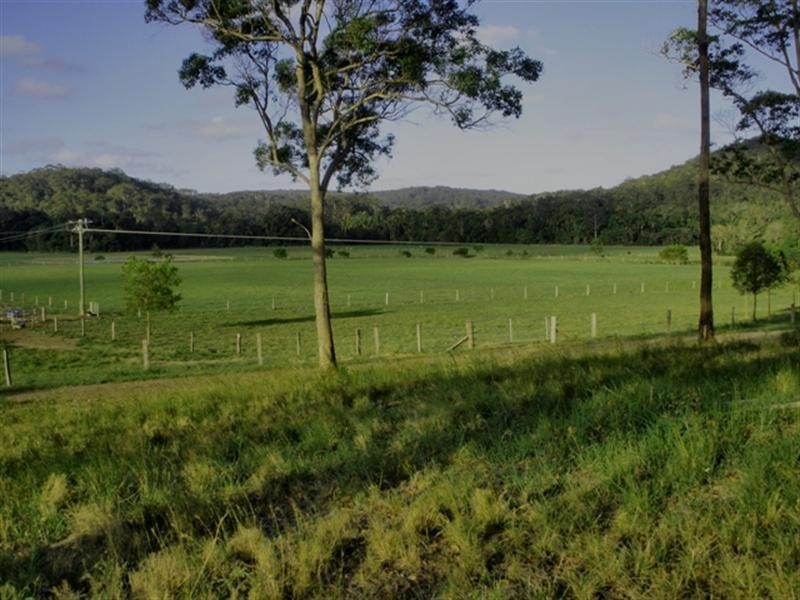 54 Fig Tree Lane, Yandina QLD 4561