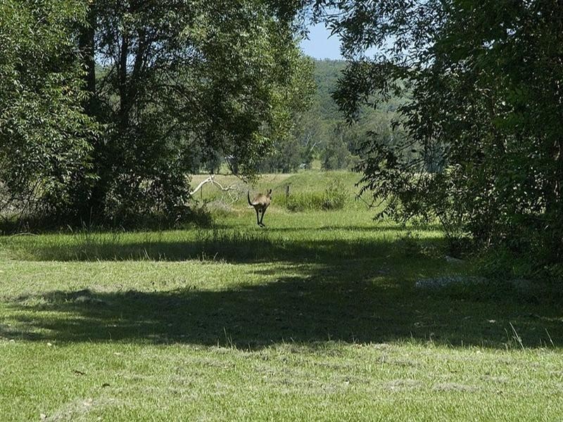 25 Gidgee Court, Doonan QLD 4562