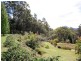 1335 Eumundi Noosa Road, Doonan QLD 4562