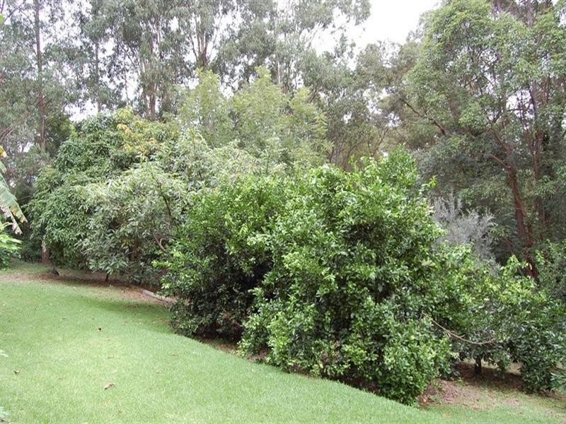 22 Smiths Road, Tinbeerwah QLD 4563