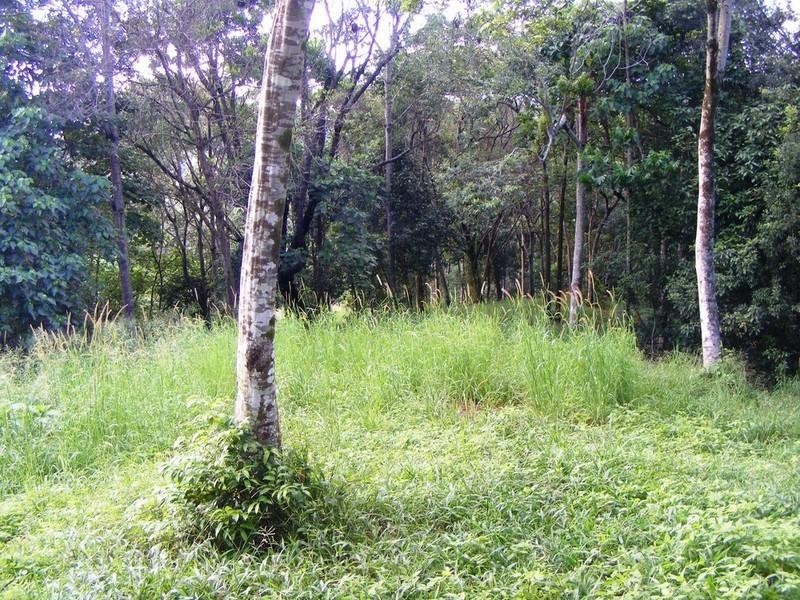 17 Panorama Drive, Doonan QLD 4562