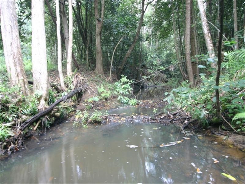 24 Cocos Court, Doonan QLD 4562