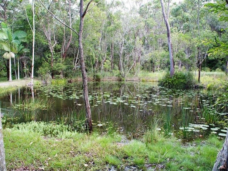 24 Whipbird Drive, Doonan QLD 4562