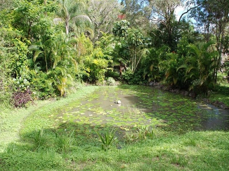 1388 Eumundi Noosa Road, Eumundi QLD 4562