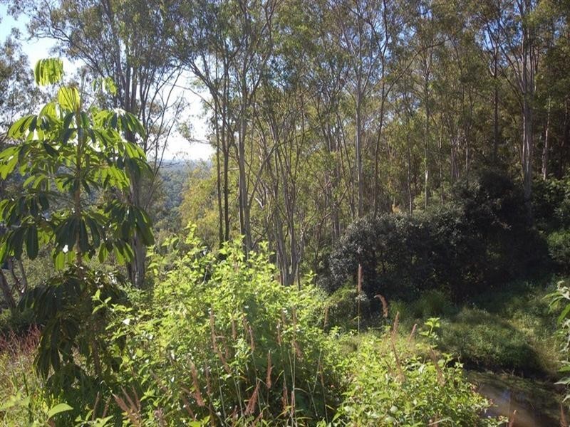 303 Duke Road, Doonan QLD 4562