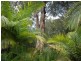 88 Annie Drive, Peregian Beach QLD 4573