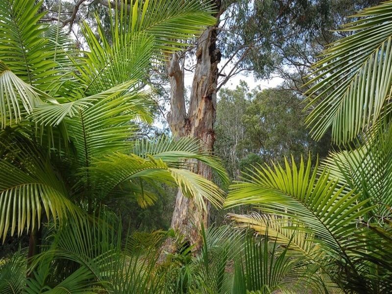 88 Annie Drive, Peregian Beach QLD 4573