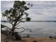 30 Charlotte Drive, Weyba Downs QLD 4562