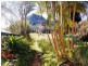 451 Gold Creek Road, Eumundi QLD 4562