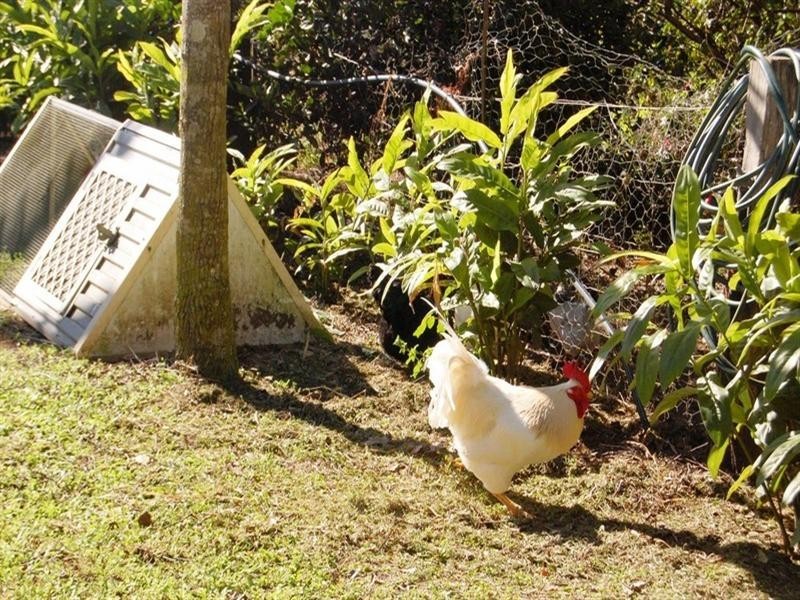 451 Gold Creek Road, Eumundi QLD 4562