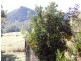 451 Gold Creek Road, Eumundi QLD 4562