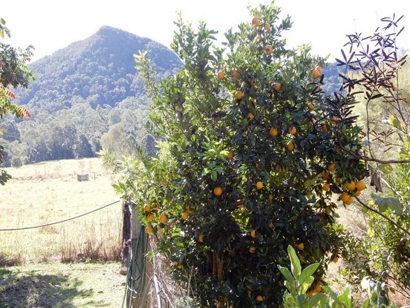 451 Gold Creek Road, Eumundi QLD 4562