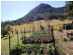 451 Gold Creek Road, Eumundi QLD 4562