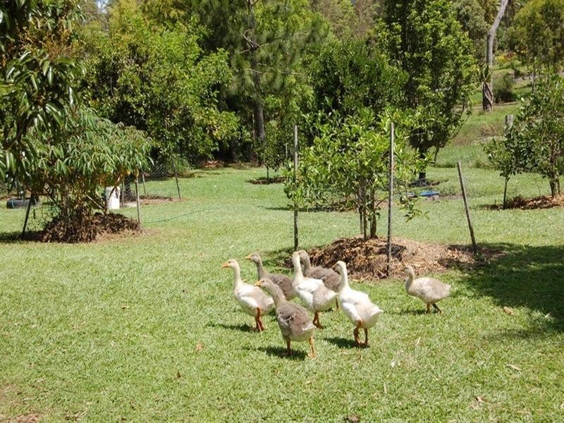 32 Mt Eerwah Road, Eumundi QLD 4562