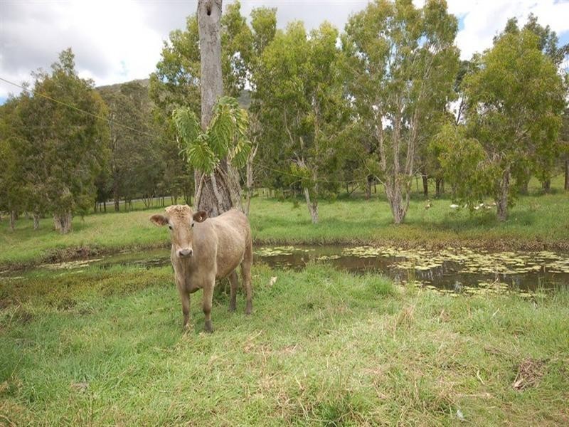 32 Mt Eerwah Road, Eumundi QLD 4562