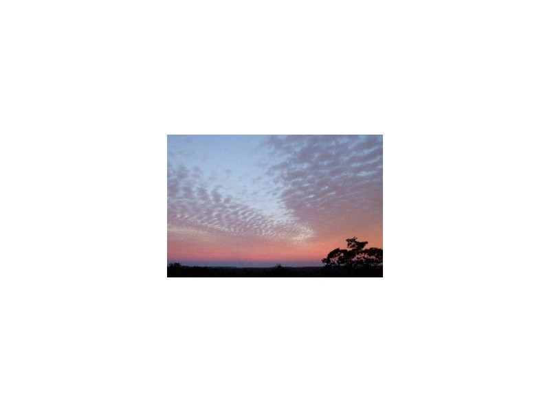 Doonan QLD 4562