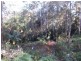 67 Youngs Drive, Doonan QLD 4562