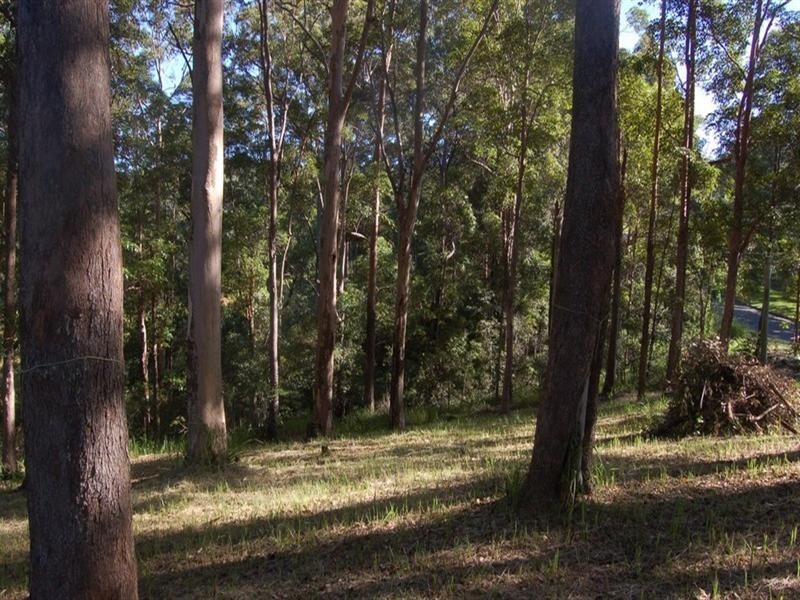 67 Youngs Drive, Doonan QLD 4562
