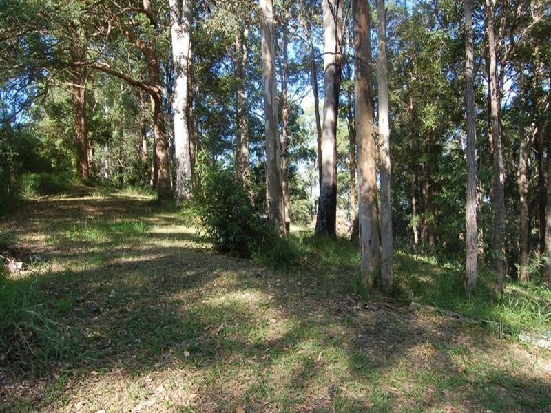 67 Youngs Drive, Doonan QLD 4562