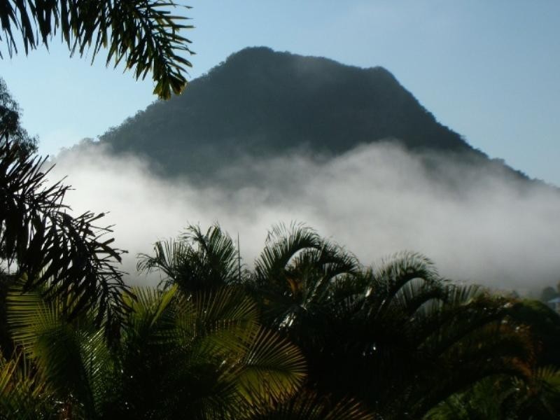 1096 Browns Creek Road, Eumundi QLD 4562