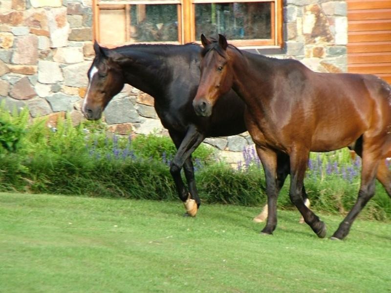 1096 Browns Creek Road, Eumundi QLD 4562