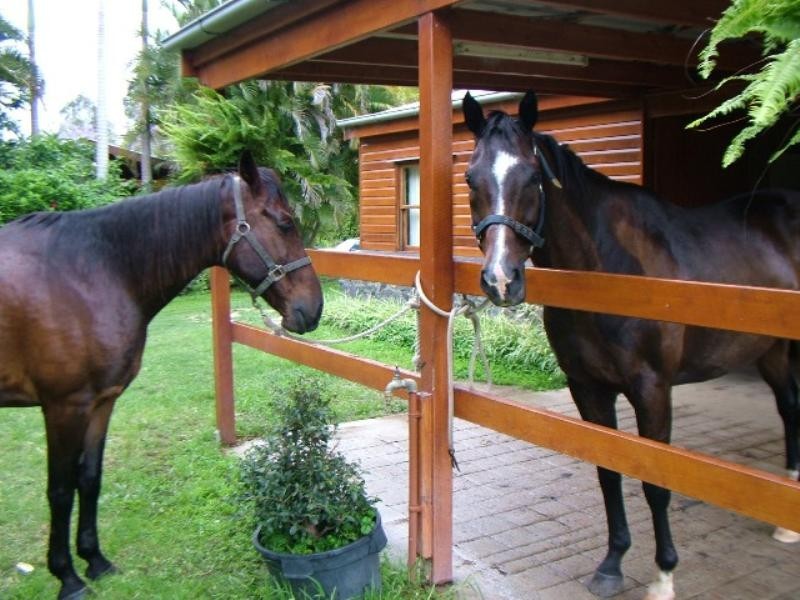 1096 Browns Creek Road, Eumundi QLD 4562