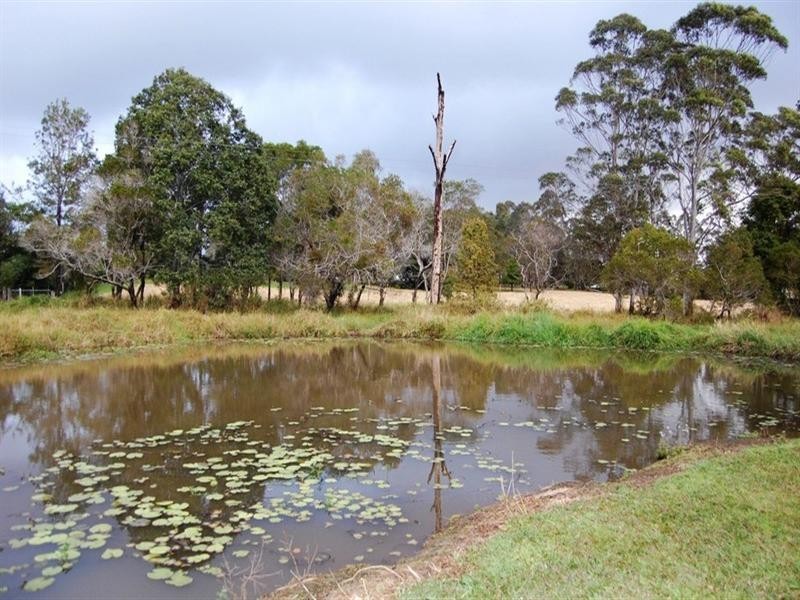 149 Seib Road, Eumundi QLD 4562