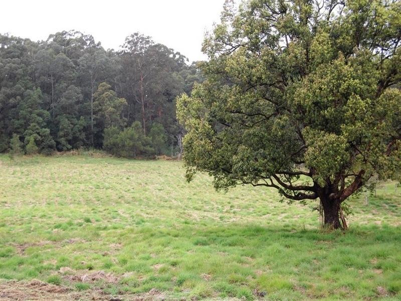 149 Seib Road, Eumundi QLD 4562