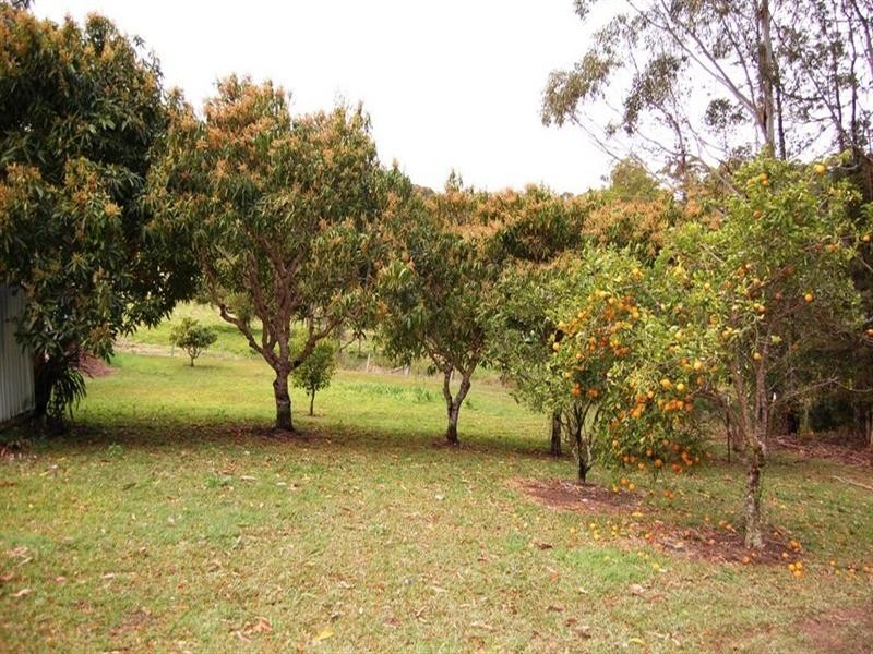 149 Seib Road, Eumundi QLD 4562