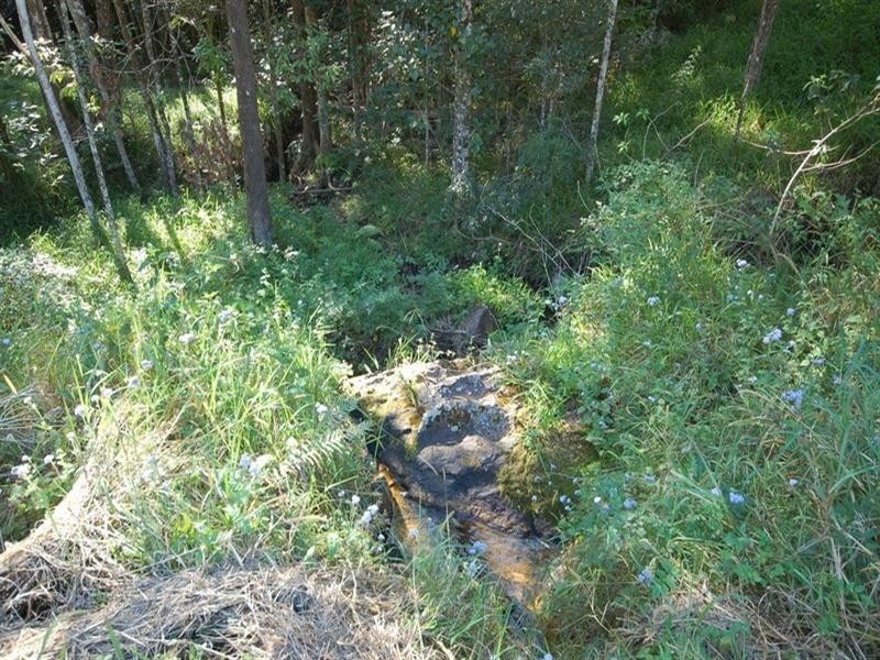 49 Whispering Gum Avenue, Eumundi QLD 4562