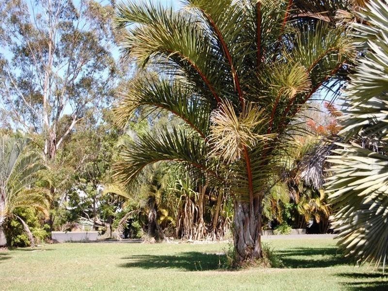 12 Justin Road, Doonan QLD 4562