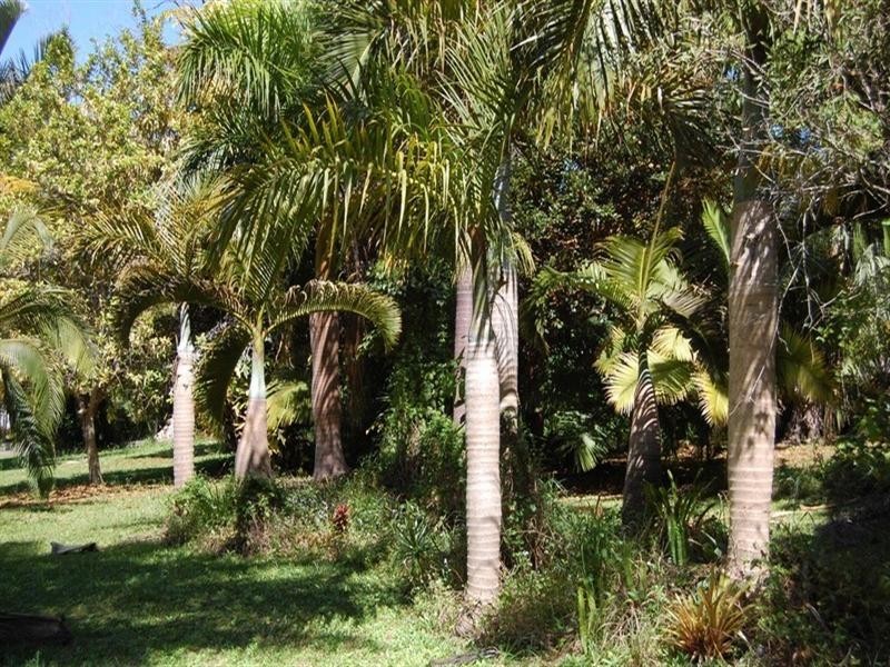 12 Justin Road, Doonan QLD 4562